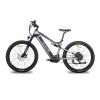 Electric mountain bike