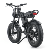 EMB009 New Design 750W Mountain Electric Bicycle Out Door With Fat Tire 20''Ebike