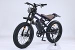 GT-C1 Chameleon New Design 750W Mountain Electric Bicycle Out Door With Fat Tire 24'' Ebike