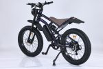 GT-C1 Chameleon New Design 750W Mountain Electric Bicycle Out Door With Fat Tire 24'' Ebike