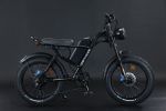 EMB009 New Design 750W Mountain Electric Bicycle Out Door With Fat Tire 20''Ebike