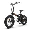 New Pattern Electric Bike Fat Tire With Removable Lithium Battery for Adults