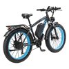 K800 Fat E-Bike