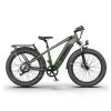 New Pattern Electric Bike Fat Tire With Removable Lithium Battery for Adults