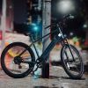 Trustmade Ebike