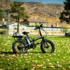 New Pattern Electric Bike Fat Tire With Removable Lithium Battery for Adults