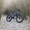 New Pattern Electric Bike Fat Tire With Removable Lithium Battery for Adults