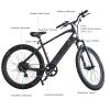 Trustmade Ebike