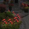 2Pcs Solar Powered Lights Outdoor Rose Flower LED Decorative Lamp Water Resistant Pathway Stake Lights